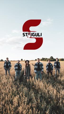 Staiguļi